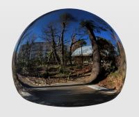 牧野記念庭園 2025_12_28_m02